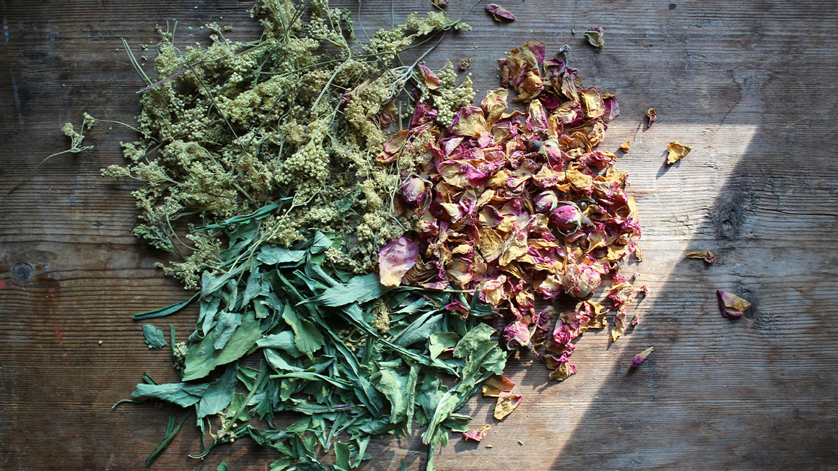 herbs2
